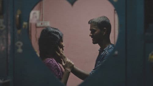 দেলুপি Bild 2