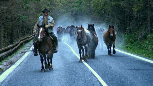 Vo vetre kopýt Bild 1