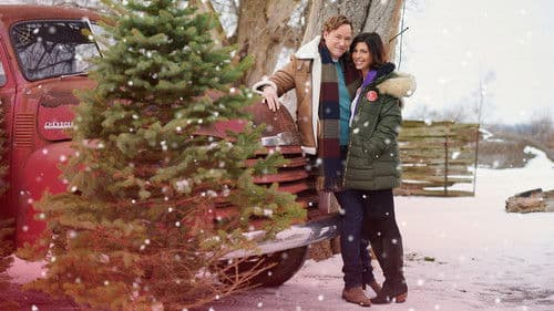 Weihnachtsferien zum Verlieben Bild 1