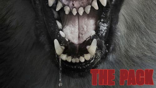 The Pack - Die Meute Bild 2
