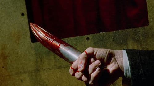 China Blue bei Tag und Nacht Bild 7