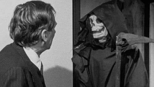 Bugs Without Morals Bild 4