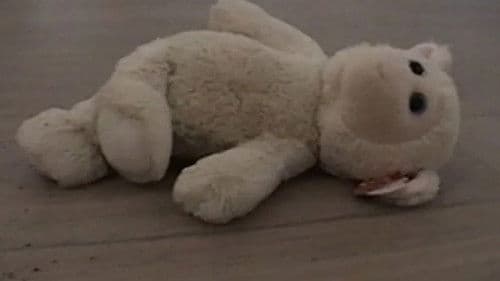 Castration Movie Anthology iii. Year of the Hyaena Bild 2