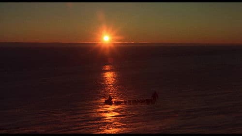 Taro und Jiro in der Antarktis Bild 3