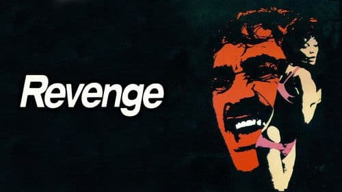 Revenge – Eine gefährliche Affäre Bild 4