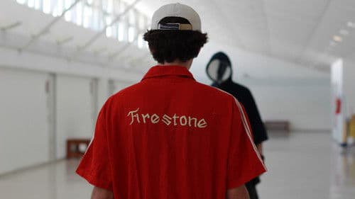 No Fim das Contas Bild 5