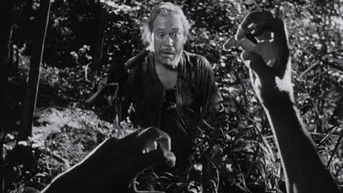 Rashomon - Das Lustwäldchen Bild 3