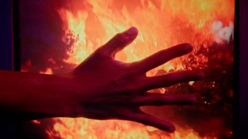 Plastic Touch Bild 4