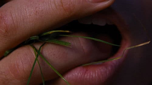 “Wuthering Heights”  - Sturmhöhe Bild 7