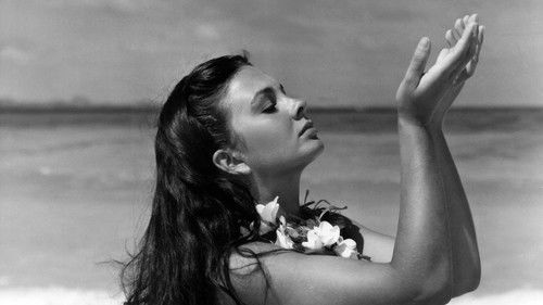 Die blaue Lagune Bild 1