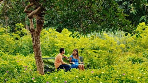 Patricia: El regreso del sueño Bild 1