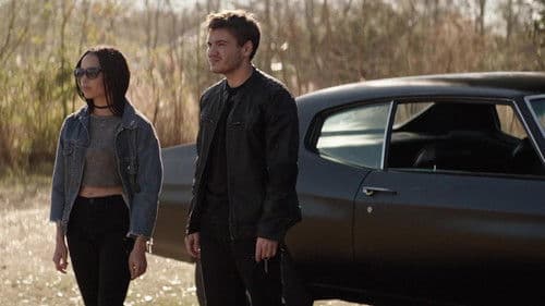 Vincent N Roxxy Bild 4