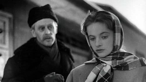 Zimowy zmierzch Bild 4