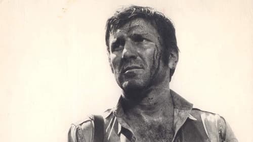 Die fünfte Offensive Bild 4