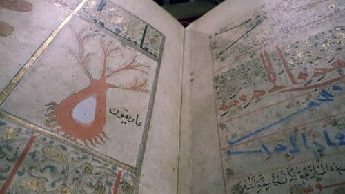 Das vergessene Erbe der arabischen Heilkunst Bild 4