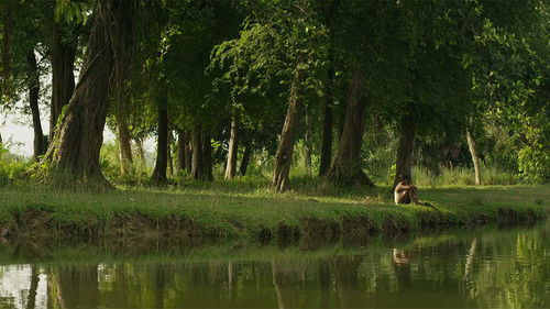 সহজ পাঠের গপ্পো Bild 1