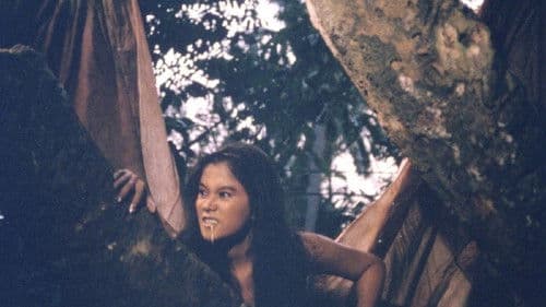 Shake, Rattle & Roll Bild 2