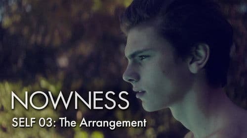 The Arrangement Bild 2