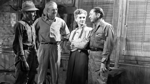 The Caribbean Mystery Bild 2