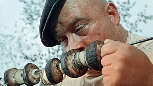 Пёс Барбос и необычный кросс Bild 7