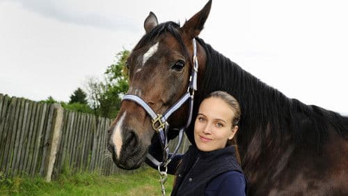 Znamení koně Bild 2