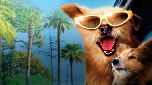 Dr. Dolittle 5 Bild 4