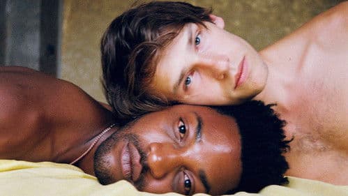 Boy Meets Boy Bild 3