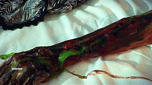 Suffering Bible Bild 4