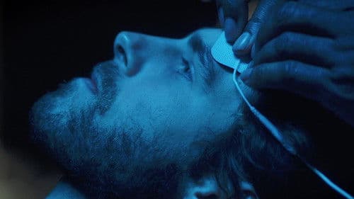 The Morning Breeze Bild 1