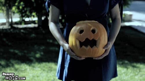 Charlie Brown: Blockhead's Revenge Bild 1