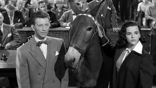 Francis Covers the Big Town Bild 8