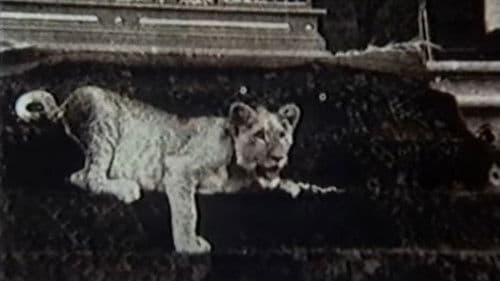 Upon Westminster Bridge Bild 1