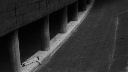 Branded to Kill Bild 3