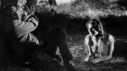 Der Ritt zurück Bild 5