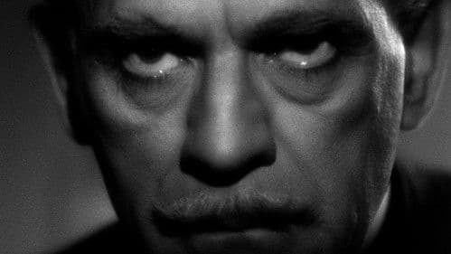 Schwarzer Freitag Bild 6