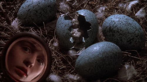 Die Zeit der Wölfe Bild 4