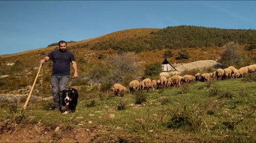 France, une histoire d'amour Bild 7