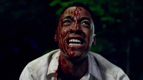 Central Park - Massaker in New York Bild 1