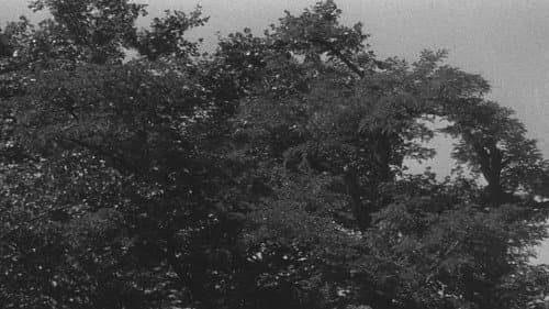 Umřel nám pan Foerster Bild 2