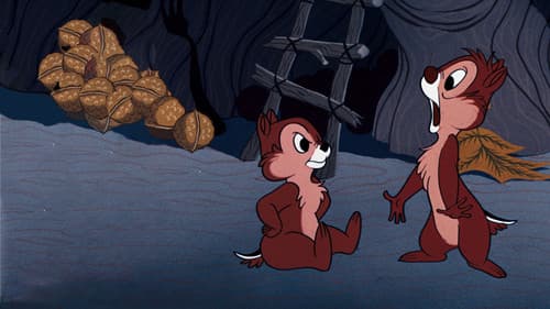 Drache unterwegs Bild 2