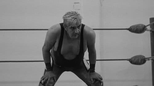 ¿Quién mató a Shocker? Bild 2