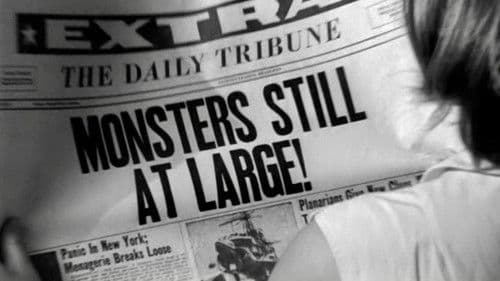 The Horror of Party Beach Bild 2