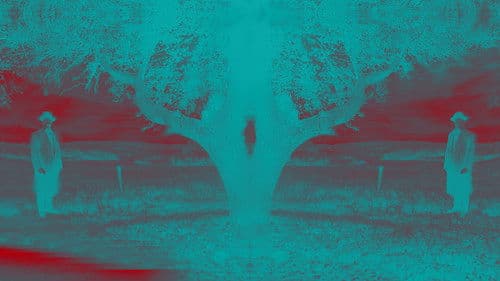 Memorias Encuadradas Bild 3