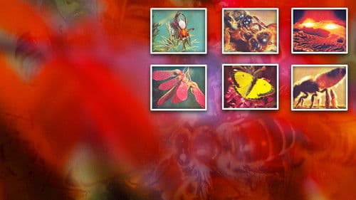 Geheimnisse des Lebens Bild 2