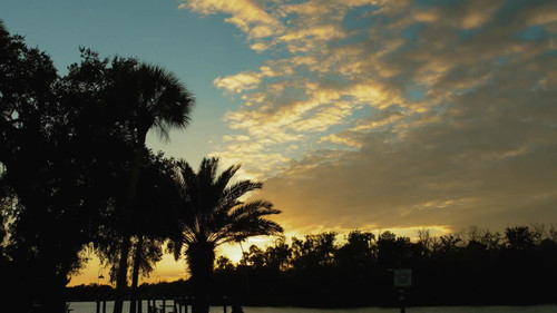 Die Jahreszeiten in der Wildnis Bild 2