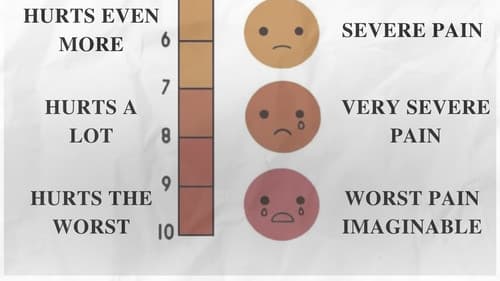 Despite Everything Bild 2