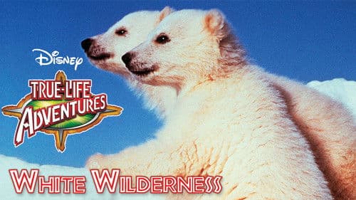 Weiße Wildnis Bild 3