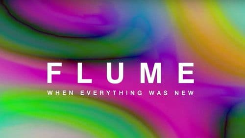 Flume: When Everything Was New Bild 2