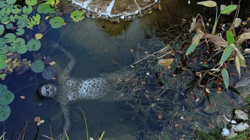 Funérailles (Non ti voglio) Bild 5