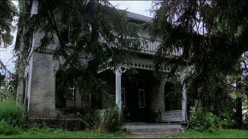 Schreie der Nacht Bild 3